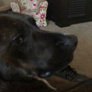 Meet your Posher, Erick